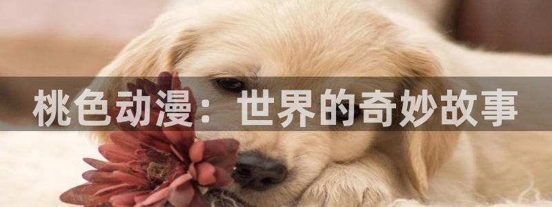 巨人族的新娘 樱花动漫：桃色动漫：世界的奇妙故事