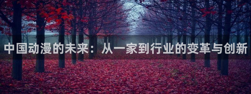 re:创造主樱花动漫：中国动漫的未来：从一家到行业的变革与创新