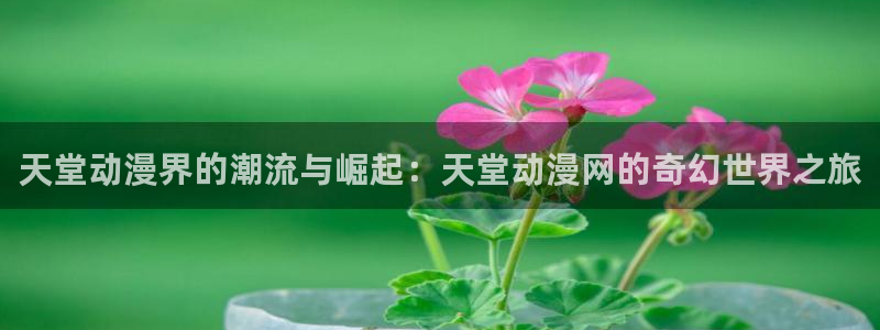 樱花动漫网免费入口：天堂动漫界的潮流与崛起：天堂动漫网的奇幻世界之旅