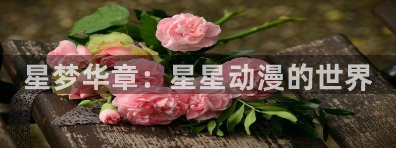女装正太樱花动漫第三季