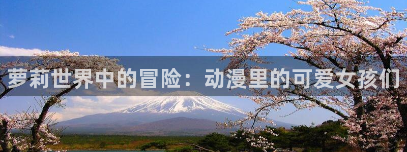 全职高手第二季樱花动漫
