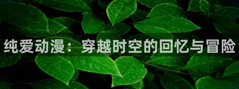樱花动漫,缘之空