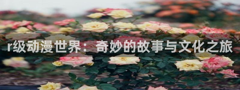 为美好的世界献上祝福1樱花动漫