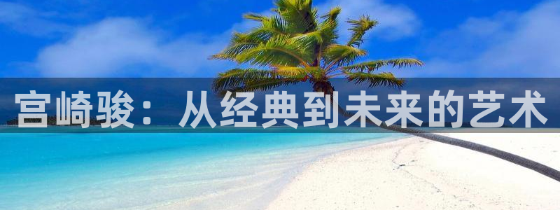 overflow全集樱花动漫：宫崎骏：从经典到未来的艺术